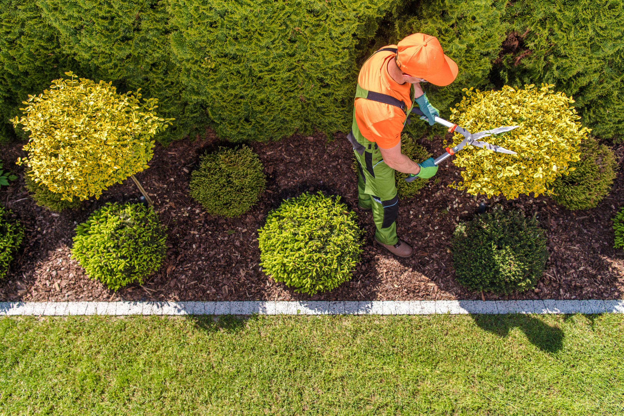 Professional,Gardener,And,The,Large,Backyard,Garden.,Top,View.,Spring